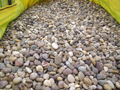 Decorative Aggregates